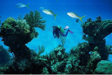 《银河战士：生存恐惧》IGN 9分 GS 8分：经典回归